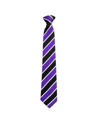 CLIP ON SCHOOL TIE
